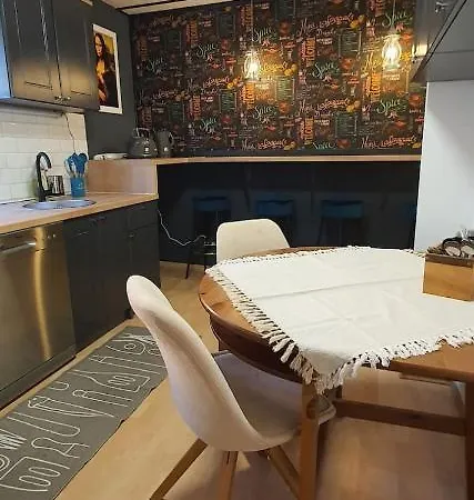 Geraeumige Zentrumsnah Apartment