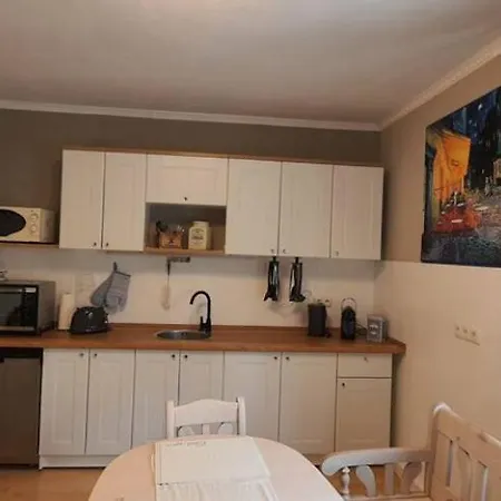 Geraeumige Zentrumsnah Apartment Schwandorf in Bayern